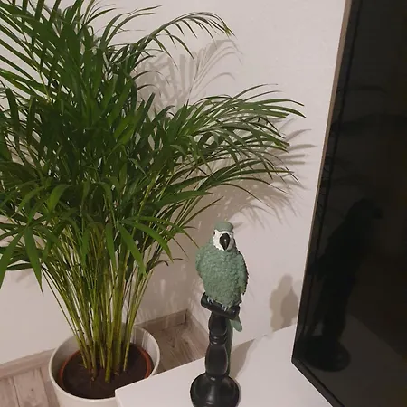 Charmante Haushaelfte Mit Garten Und Terrasse Apartman Flensburg